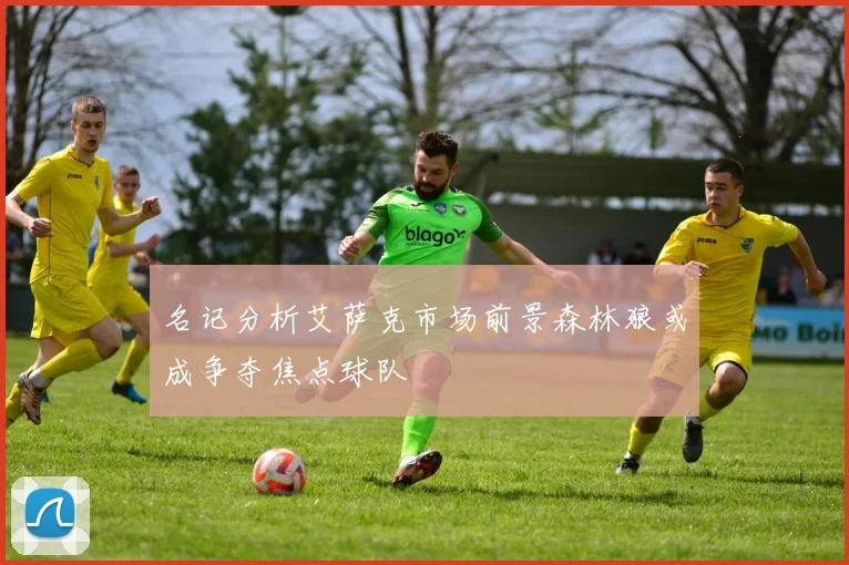名记分析艾萨克市场前景森林狼或成争夺焦点球队